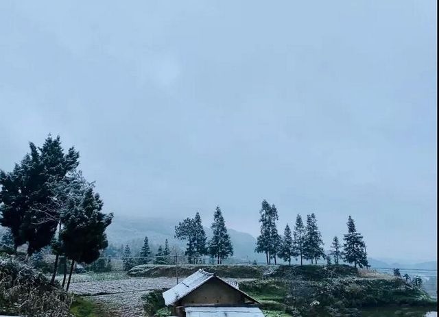 2020敘永、古藺初雪美景圖(圖10)