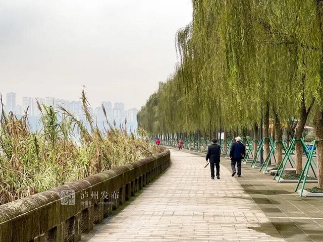 瀘州長(zhǎng)江濱江路景觀已恢復(fù)原貌，四條景觀大道升級(jí)完成(圖2)