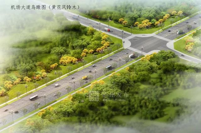 瀘州長(zhǎng)江濱江路景觀已恢復(fù)原貌，四條景觀大道升級(jí)完成(圖9)