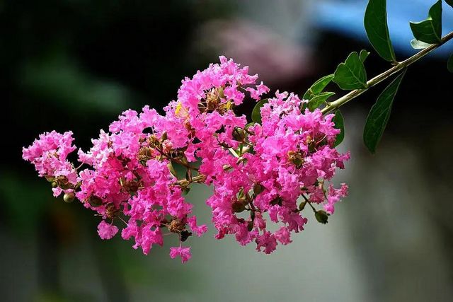 瀘州長(zhǎng)江濱江路景觀已恢復(fù)原貌，四條景觀大道升級(jí)完成(圖10)