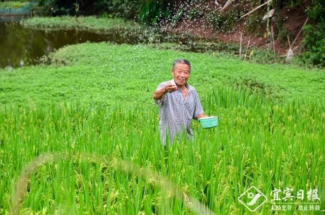正式印發(fā)！《宜賓三江新區(qū)發(fā)展總體規(guī)劃》出爐，新區(qū)將迎來(lái)更大發(fā)展！(圖10)