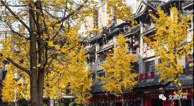敘永街景最美的地方 原來(lái)在這里！(圖3)