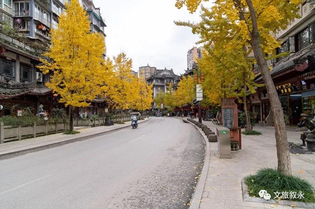 敘永街景最美的地方 原來(lái)在這里！(圖13)