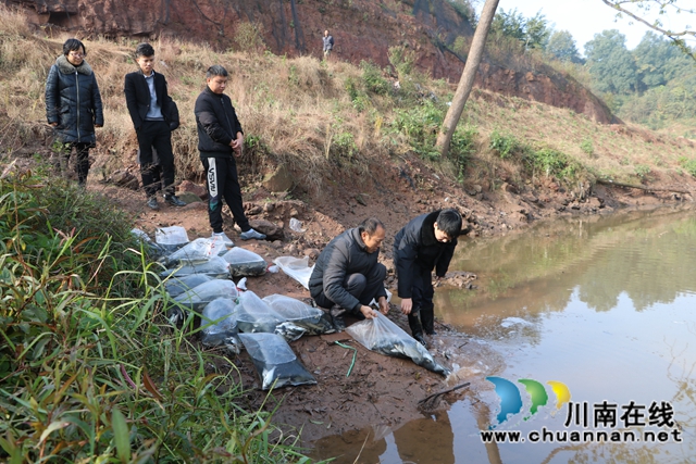 納溪法院：增殖放流，共同促進長江流域生態(tài)資源恢復(fù)(圖3)