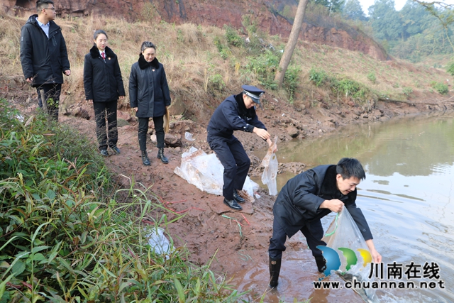 納溪法院：增殖放流，共同促進長江流域生態(tài)資源恢復(fù)(圖2)