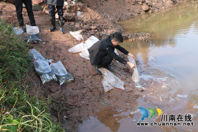 納溪法院：增殖放流，共同促進長江流域生態(tài)資源恢復(fù)(圖4)
