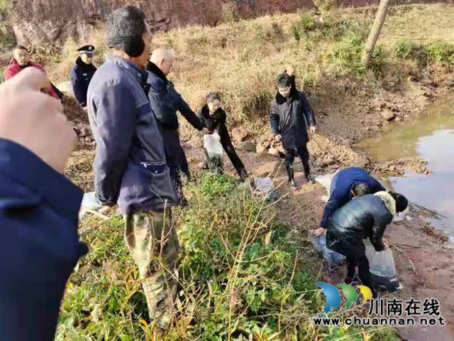 納溪法院：增殖放流，共同促進長江流域生態(tài)資源恢復(fù)(圖5)