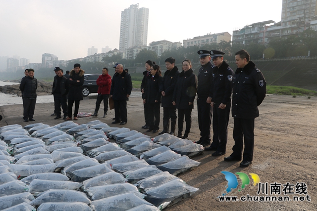 納溪法院：增殖放流，共同促進長江流域生態(tài)資源恢復(fù)(圖6)
