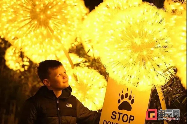 自貢彩燈又走出國門！猜猜這次點亮了哪里？(圖1)