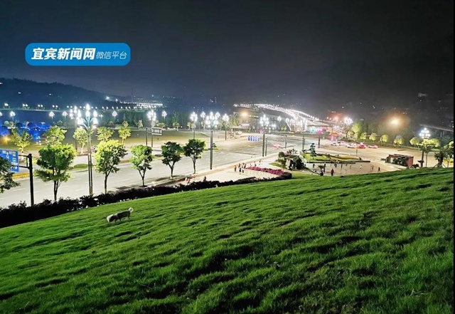 正式亮相！宜賓主城區(qū)又一新地標(biāo)來了！唐式樓閣，古色古香！(圖5)