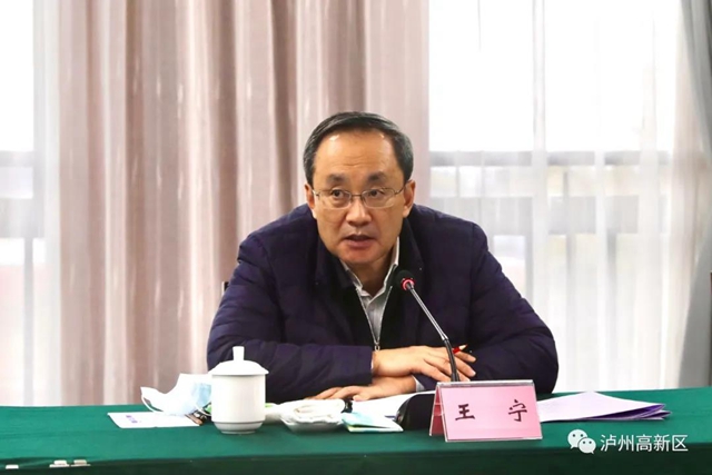 王寧、楊興平到瀘州國家高新區(qū)督導(dǎo)工作(圖3)