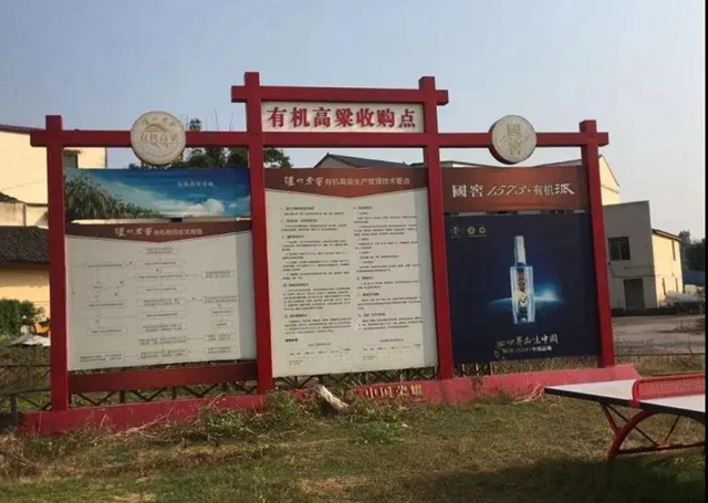 善始善終，一起走向美好生活！(圖7)