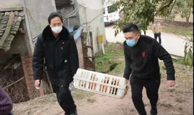 善始善終，一起走向美好生活！(圖27)