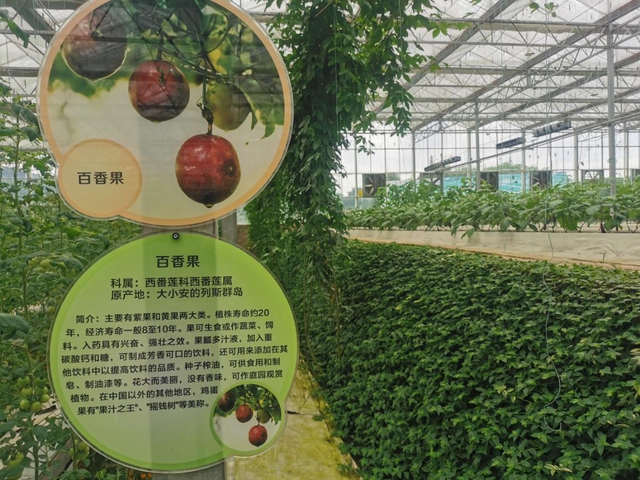 江陽(yáng)區(qū)董允壩現(xiàn)代農(nóng)業(yè)示范園區(qū)農(nóng)業(yè)科普基地上榜省科普基地(圖2)