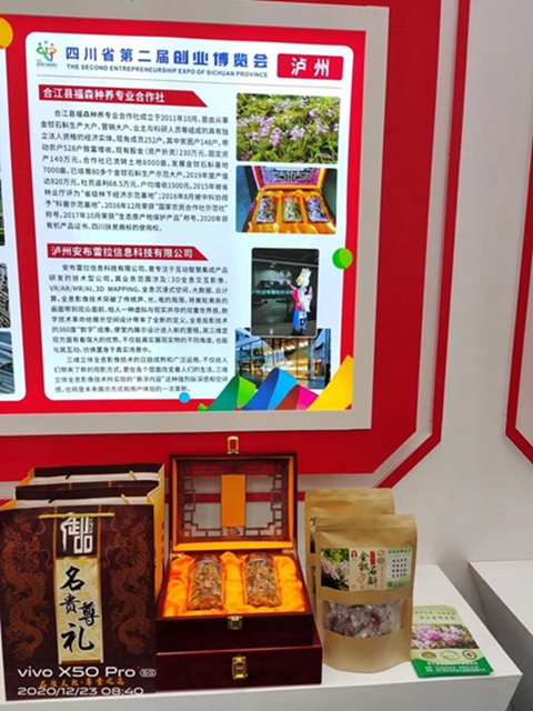 瀘州這些項(xiàng)目亮相省創(chuàng)博會(huì)！(圖5)