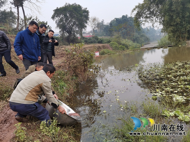 瀘縣：村民溪里發(fā)現(xiàn)重6斤多的娃娃魚，已成功放歸(圖7)