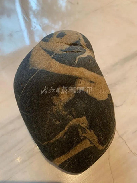 小伙伴們驚呆了！內(nèi)江市民在沱江邊撿到一只“熊貓”(圖1)