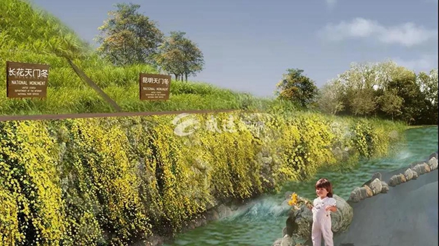 住房車，賞百草！新晉內(nèi)江網(wǎng)紅地“藥王谷”來了！(圖3)