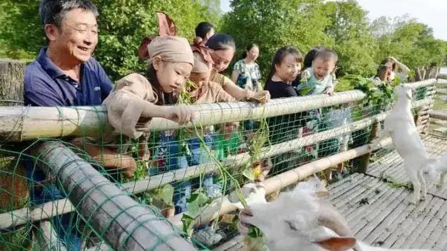住房車，賞百草！新晉內(nèi)江網(wǎng)紅地“藥王谷”來了！(圖4)
