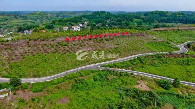 住房車，賞百草！新晉內(nèi)江網(wǎng)紅地“藥王谷”來了！(圖12)