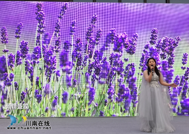 “這有光”杯“唱響龍馬潭”原創(chuàng)歌曲大賽落幕，觀眾希望多搞這樣的活動(dòng)！（附獲獎(jiǎng)名單）(圖9)