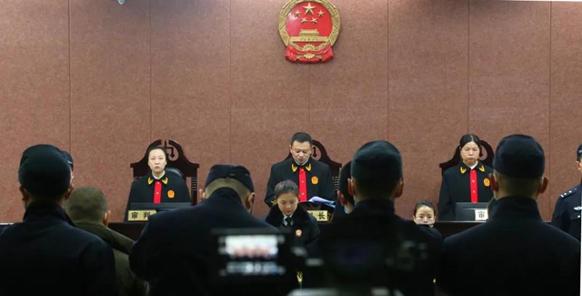 最高判20年！納溪法院公開(kāi)宣判李正紅等15人黑社會(huì)性質(zhì)組織案(圖6)