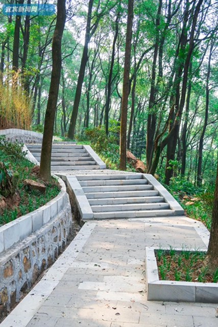 震撼！宜賓翠屏山又一網(wǎng)紅打卡地來了！巨大環(huán)形建筑、絕美棧道、360°觀景臺……(圖28)
