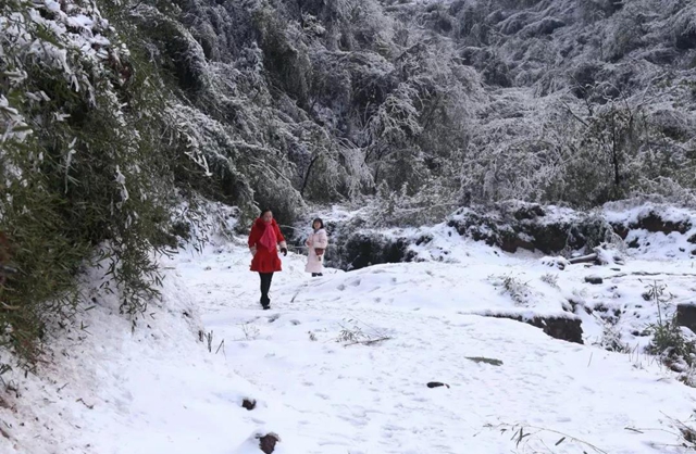 這些賞雪地點(diǎn)趕緊收藏！宜賓可能迎來(lái)新年第一場(chǎng)雪(圖5)