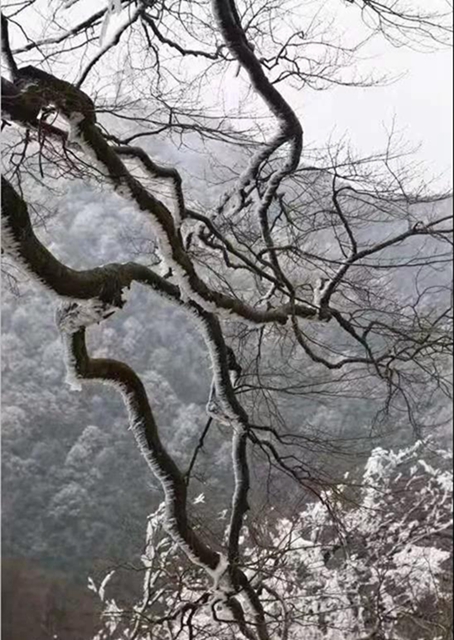 這些賞雪地點(diǎn)趕緊收藏！宜賓可能迎來(lái)新年第一場(chǎng)雪(圖19)