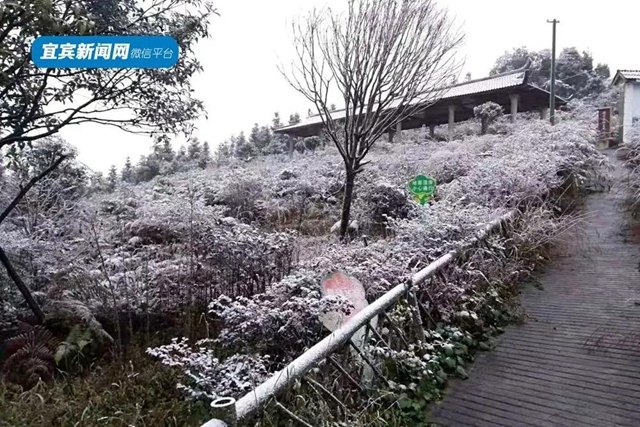 這些賞雪地點(diǎn)趕緊收藏！宜賓可能迎來(lái)新年第一場(chǎng)雪(圖18)