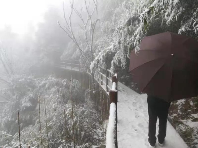 這些賞雪地點(diǎn)趕緊收藏！宜賓可能迎來(lái)新年第一場(chǎng)雪(圖25)