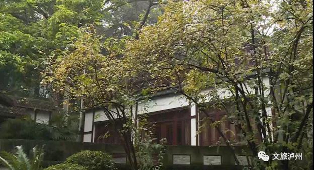 香噴噴！快來瀘州這些地方賞蠟梅(圖6)