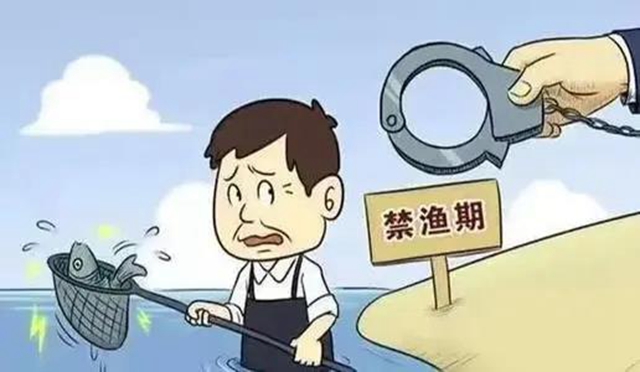 膽敢電魚，把你們處“痛”！內(nèi)江首例非法捕撈水產(chǎn)品案宣判(圖2)