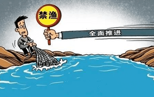 瀘州全面開(kāi)展退捕漁民養(yǎng)老保險(xiǎn)補(bǔ)貼工作，標(biāo)準(zhǔn)：人均15年，每年不低于2500元(圖1)