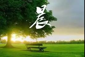 豬為何不得糖尿?。拷堤撬幬锟梢砸种菩鹿诓《?？快來看看那些我們不知道的奧秘(圖11)