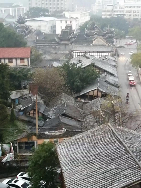 自貢這波霜凍圖，也太美了吧！(圖6)