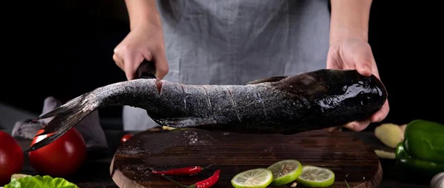 “養(yǎng)殖魚”冒充“河魚”賣！隆昌這家魚莊被“逮”到了！