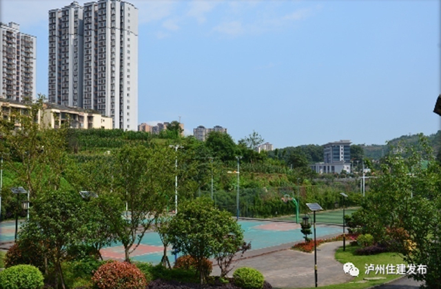 正在公示！瀘州4個公園入圍省重點公園擬命名名單(圖15)