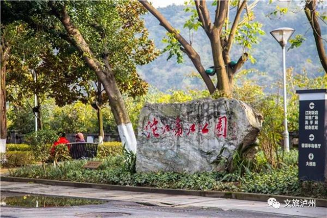 瀘州城區(qū)臘梅地圖請收好！花都開好了，只等你！(圖5)