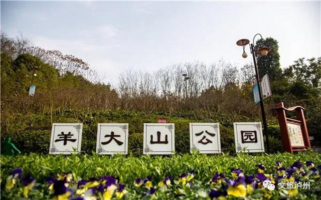 瀘州城區(qū)臘梅地圖請收好！花都開好了，只等你！(圖7)