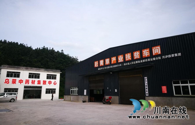 簽約啦！古藺苗家“神仙草”等中藥產(chǎn)業(yè)發(fā)展步入快車道(圖2)