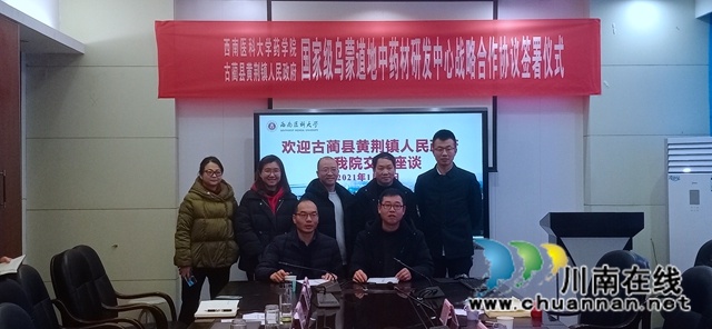 簽約啦！古藺苗家“神仙草”等中藥產(chǎn)業(yè)發(fā)展步入快車道(圖4)