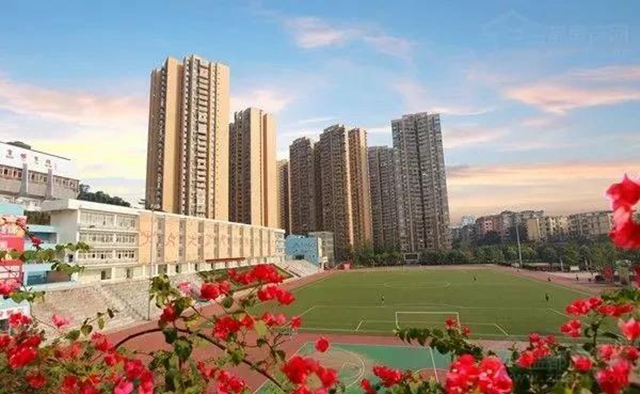 速看！自貢四大體育場館2021年免費開放工作方案來了(圖4)