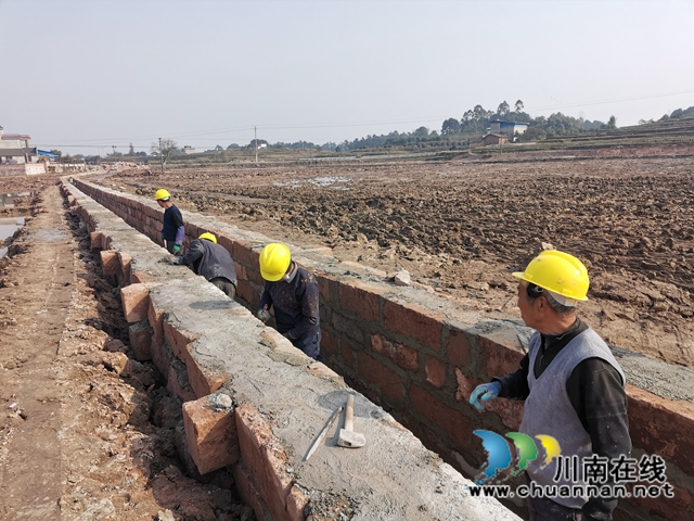 今冬明春  瀘縣新建高標(biāo)準(zhǔn)農(nóng)田3.6萬畝(圖6)