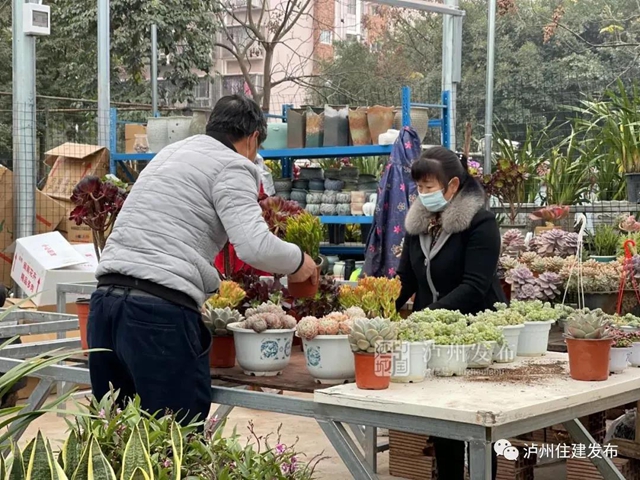升級回歸丨瀘州羊大山花卉市場重新開業(yè)了(圖4)