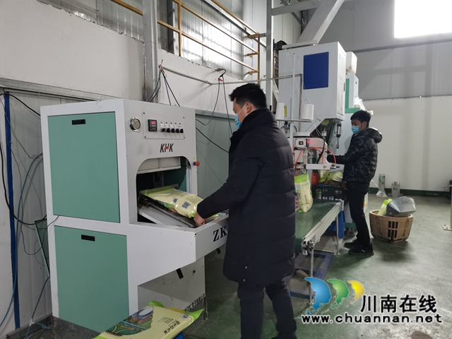 省勞動模范薛世蘭：多產(chǎn)融合、稻菜輪作實現(xiàn)糧增產(chǎn)錢增收(圖2)