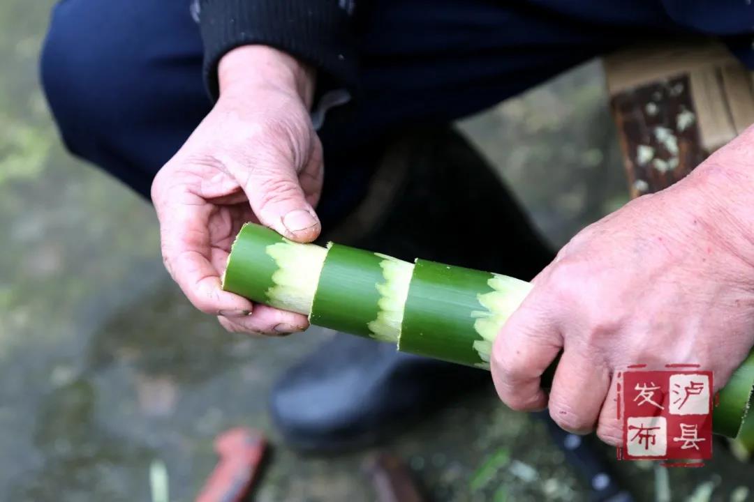 瀘州有種土樂器名叫“花號(hào)”，不知您見過沒？(圖10)