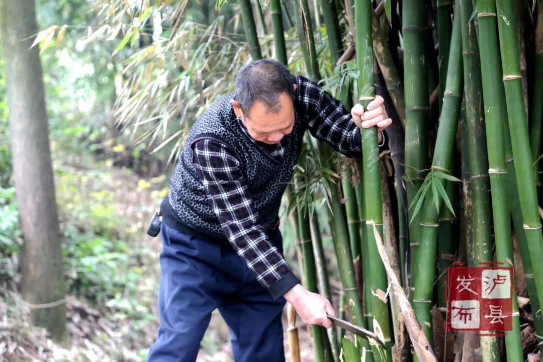 瀘州有種土樂器名叫“花號(hào)”，不知您見過沒？(圖5)