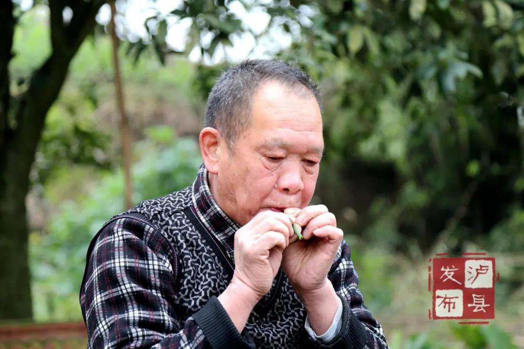 瀘州有種土樂器名叫“花號(hào)”，不知您見過沒？(圖11)