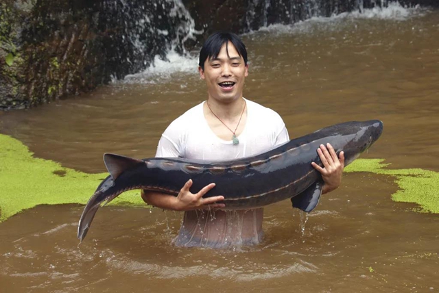 保護長江珍稀特有魚類，宜賓這對父子“癡“情專注28年！(圖6)
